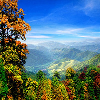 �������Ž����ļ�����Ŀ������������~