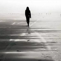 �����ġ����裬��Ϊʲô��ô���ǣ�