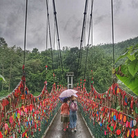 ��˫����ԭʼɭ��