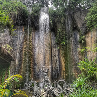 ��˫����