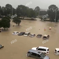 �����ٺ�һƬ����