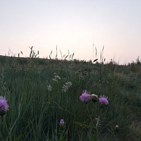 ��̲����ϼ