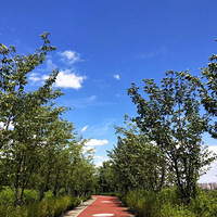 ��ͤɽ�������