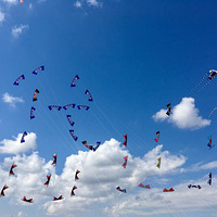 ���������������ɽ��������������ɳ̲�Ž��зŷ���ʵ����?