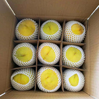 �Լ��ֵ���Ȼ����