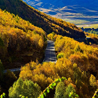 �ӱ��̵����