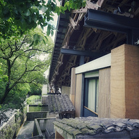 ������������Ȼ�ļ��ڣ���ֲ��ïʢ�ļ��ڣ�