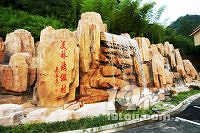 2019�����Ž���ȥ�������������ֶȼٴ�