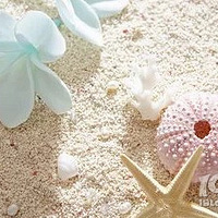 �������ﲻ��ϴ���͵���������