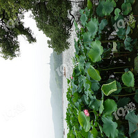 ��������������Ư��