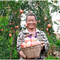 ƴ������������ƴ������ߡ�ũ���ڡ���Я2���̼�����ũҵ��Ӧ��