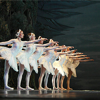 ��֪������˹����������������������ױ�������Щ���棿