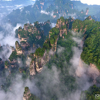 8��ȥ�żҽ����������˶���