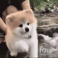 ��װ������һ��ȥ��ս������̼���Ư��������ХϿƯ���Ž���