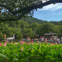 ��Ժ������