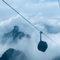 2019�����żҽ�������/�Լ���/���������ι���