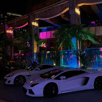 ���������� ��ʼ�β�� MIC������ĳ���ҹ����