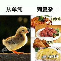 ����˵�ĺ���ʵ