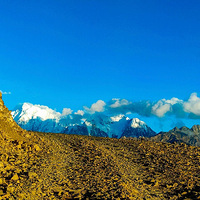 �������� �ؾ���Ӧ�� �˼����һƬ����