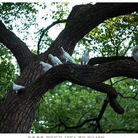 �б�ɽ��ˮ������˼��̻�