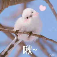 ��˾�Ŷӻ������ָ���飨�ϣ�