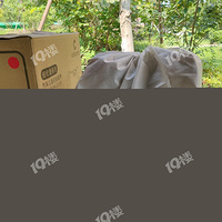 �Ƶϰ�codycareŦ�ױ���ͯ��ȫ���Σ��������