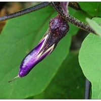 ˿��������