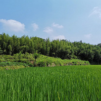 ݭɽ��������