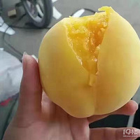 �Լһ��ң��Ե���~