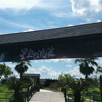 ��ζ�Ķ�������50Ԫ/��