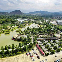 ���������Ρ������������ֱ�Ȥζ��ѧ��