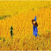 [���﹫��]9.13-14Ѱ�һ��������������Խ�����ؾ�