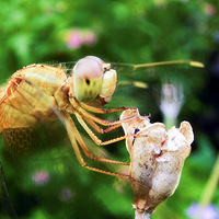 ��·�����еĺ���