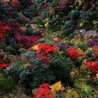 9.15�δ���ɽ����ɽ��Ҷ���涶���������ݣ�������ջ��.....