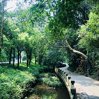 ����������ŵ�