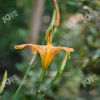 ����PX100�ڿ�6���˾�ʹ��ND����ĺ�ƫ�񣬴�Һ�����