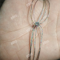 ��ʦ�ڿ쵽��õ����ǩ