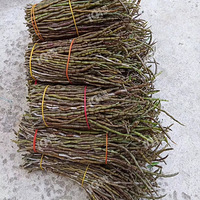 ����С��ʶ