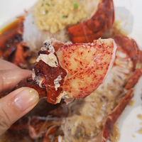 ϲ����ʱ�ĳ��ߡ�����