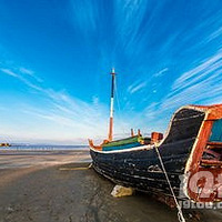 �����ɵ����ɽ����