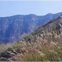 [����С�书]9.01ͽ�������ŵ����Ƕ��۶�壬̽�ظ�ɽ�ݵ�