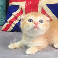 ���ݼ���С�������