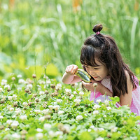 ���㺢�Ӷ��ٲ��˵Ĺ۲��� , �ҵ�ѵ��������ʵ�ܼ�