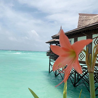 ��Ϊ����֪�����ɱ��Ǹչ���