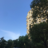 �߱�-����