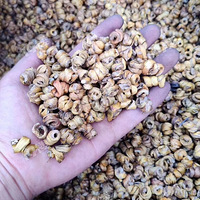 ����С��ʶ