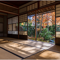 �ձ���ѧԺ������д���о��ƻ��飬�㶨������һ�Ρ����ԡ�