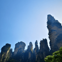 �����ȥ�żҽ����������ι���,�żҽ�����������й���