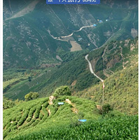 �������߼ƻ����ؼ�99Ԫ��ͽ��½��ŵ�����������