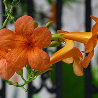 ������֮��